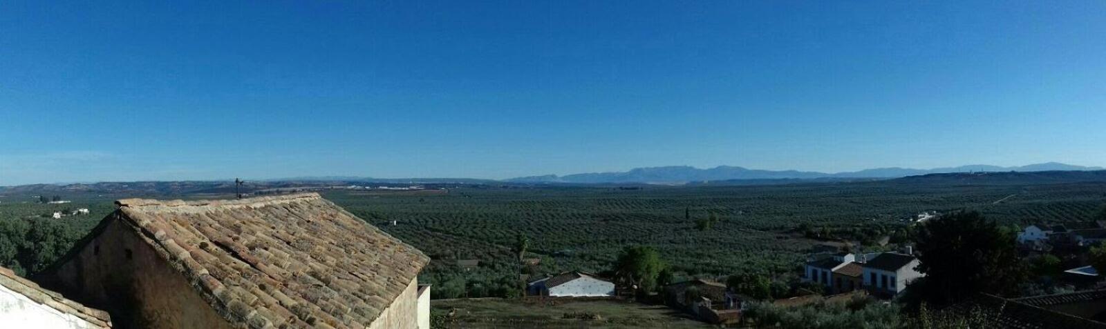 Holiday home Oliva *